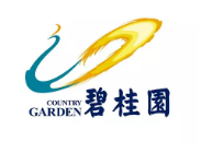 九真镇碧桂园地产